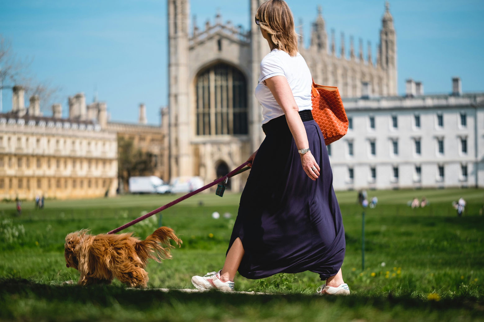 kings-college-woman-walking-dog-cambridgeshire